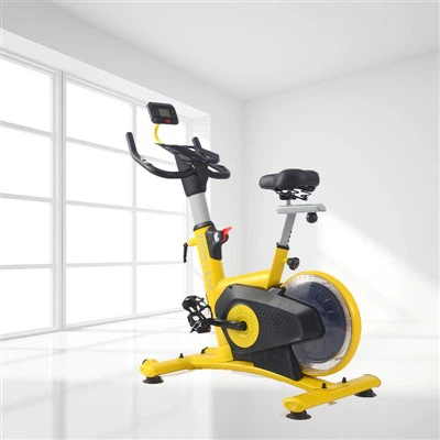 Xe đạp cố định bánh đà